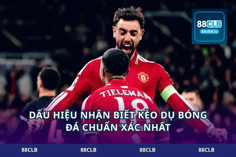 Dấu hiệu nhận biết kèo dụ bóng đá chuẩn xác nhất